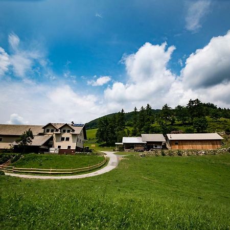 Tourist Farm Pr'Dovar Cerklje na Gorenjskem Extérieur photo