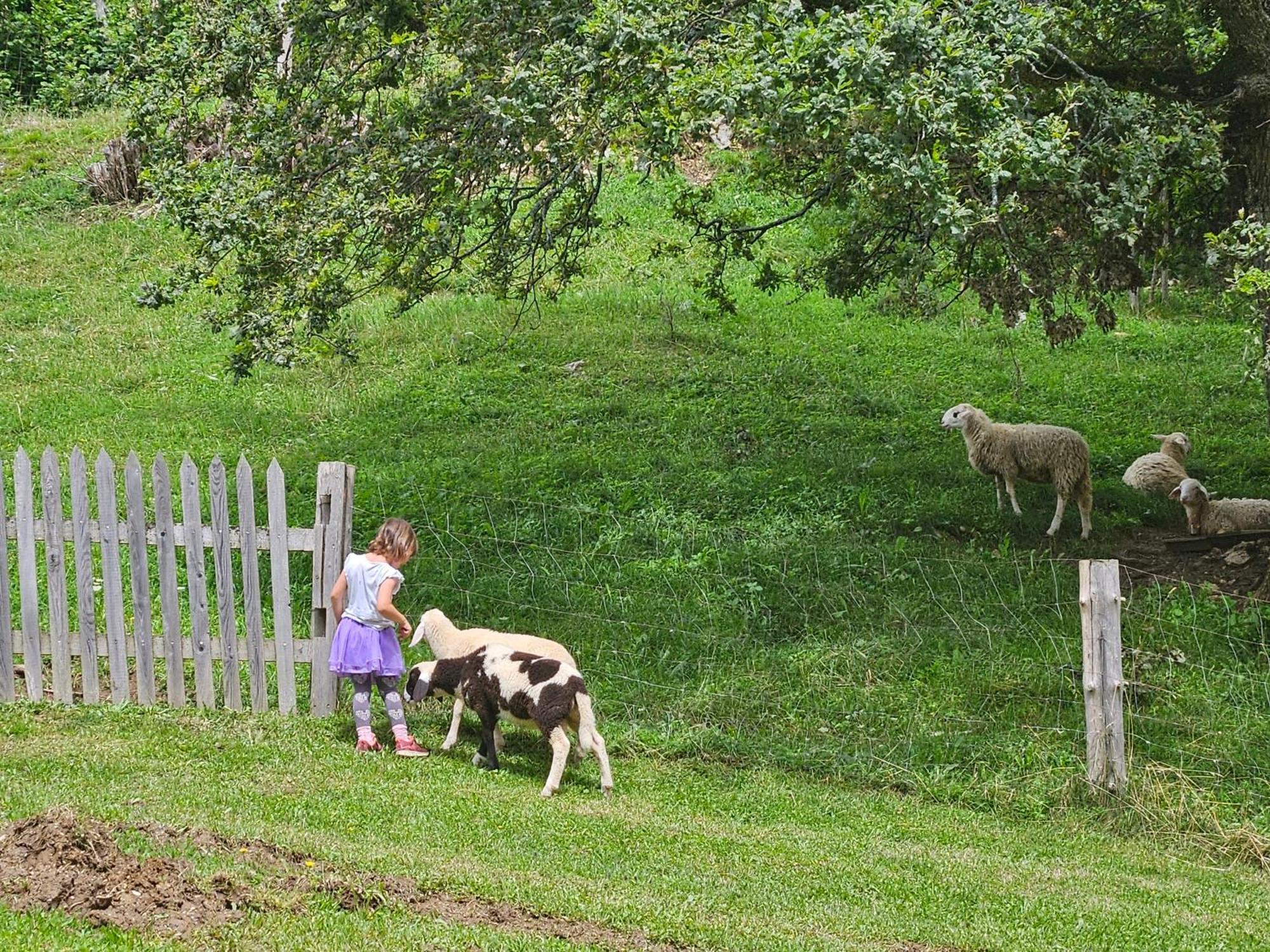 Tourist Farm Pr'Dovar Cerklje na Gorenjskem Extérieur photo